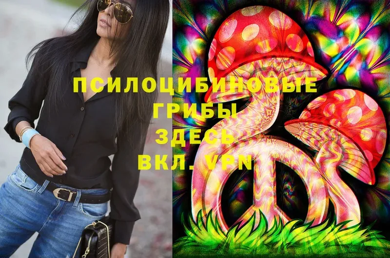 KRAKEN как зайти  Осташков  Галлюциногенные грибы Magic Shrooms  наркотики 